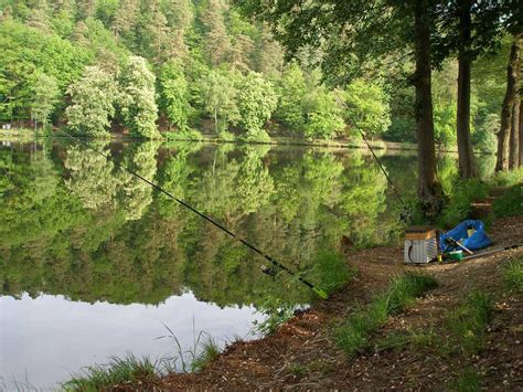 forelvijver ardennen|Actief in de Ardennen: vissen